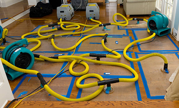 Professional Crawl Space Water Removal technician working in Mills River, NC