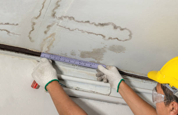 Affordable Water Damage Repair solutions in Mills River, NC